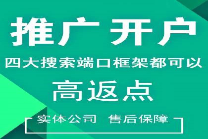 行业领先企业的SEM广告投放策略案例